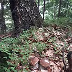заграйка 3* Snidavka