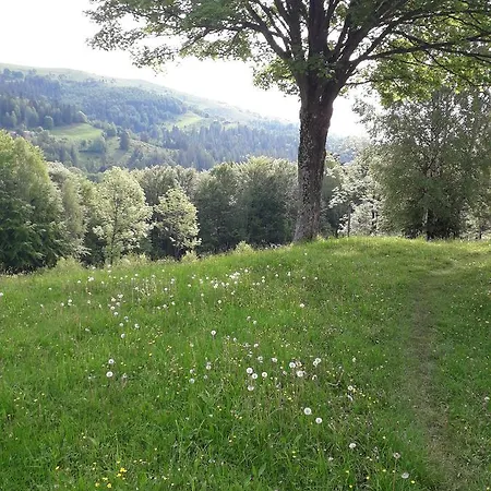 게스트하우스 заграйка 3*