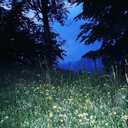 게스트하우스 заграйка 3*