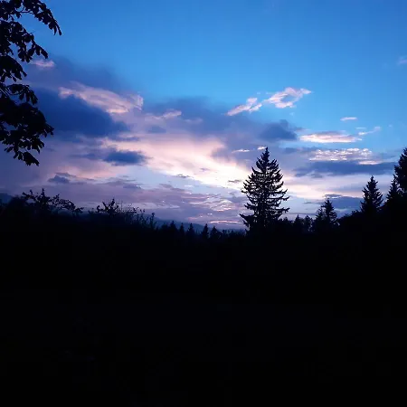 게스트하우스 заграйка